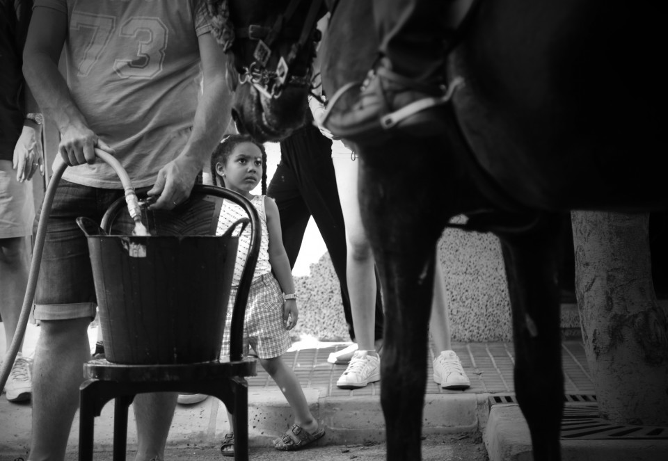 fiesta horse with child