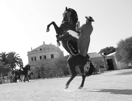 horse rider rears horse - Hotel Alcaufar Vell