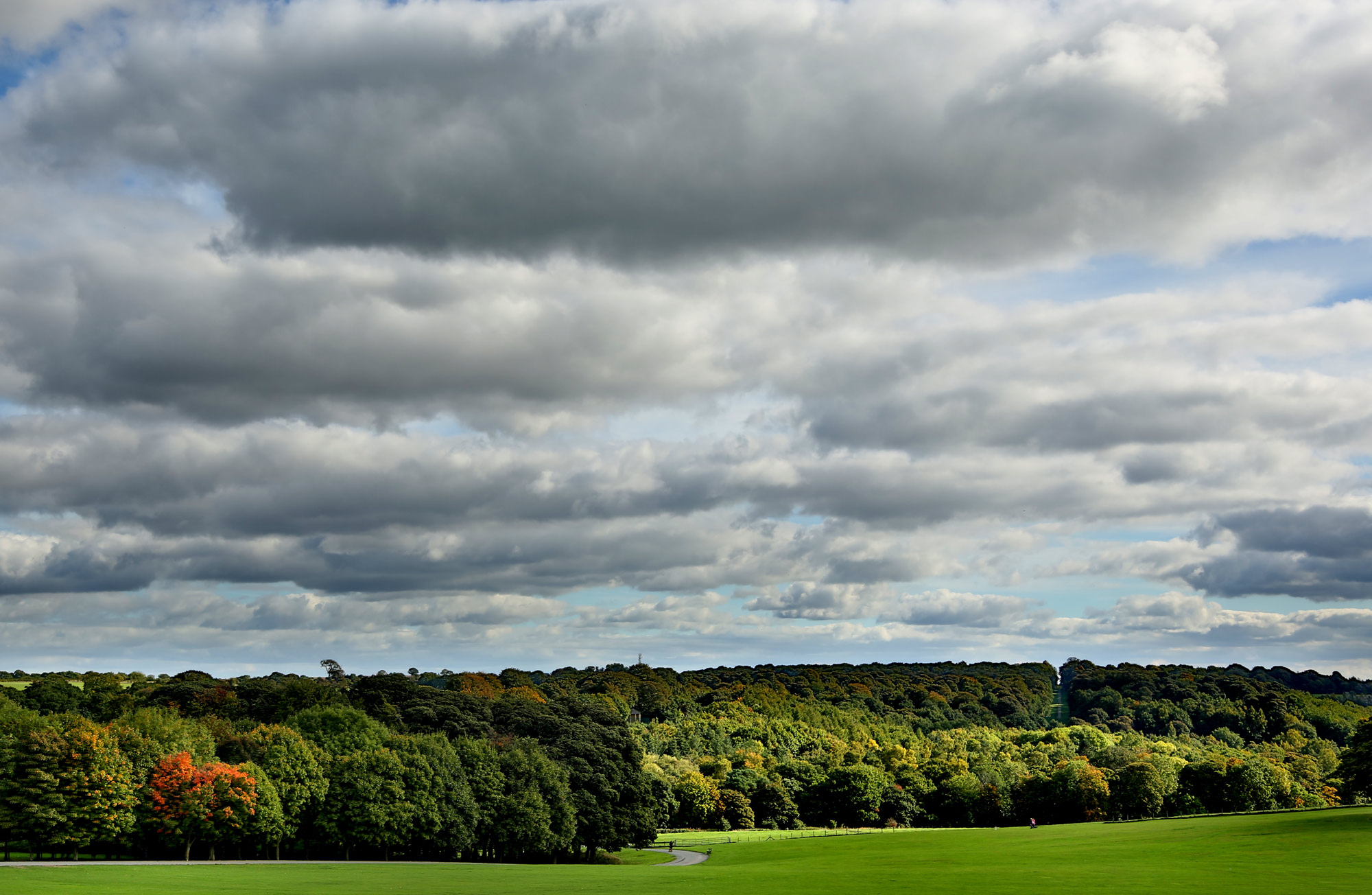 green landscape