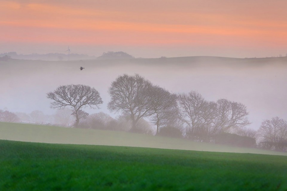 misty landscape