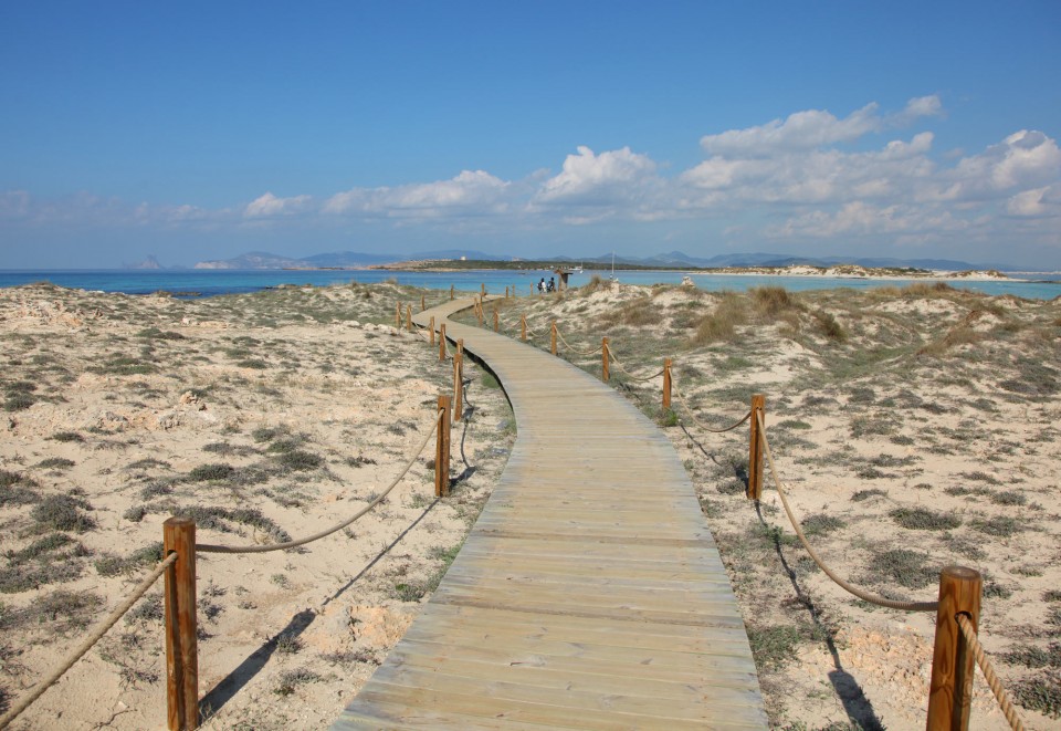 wooden beach path