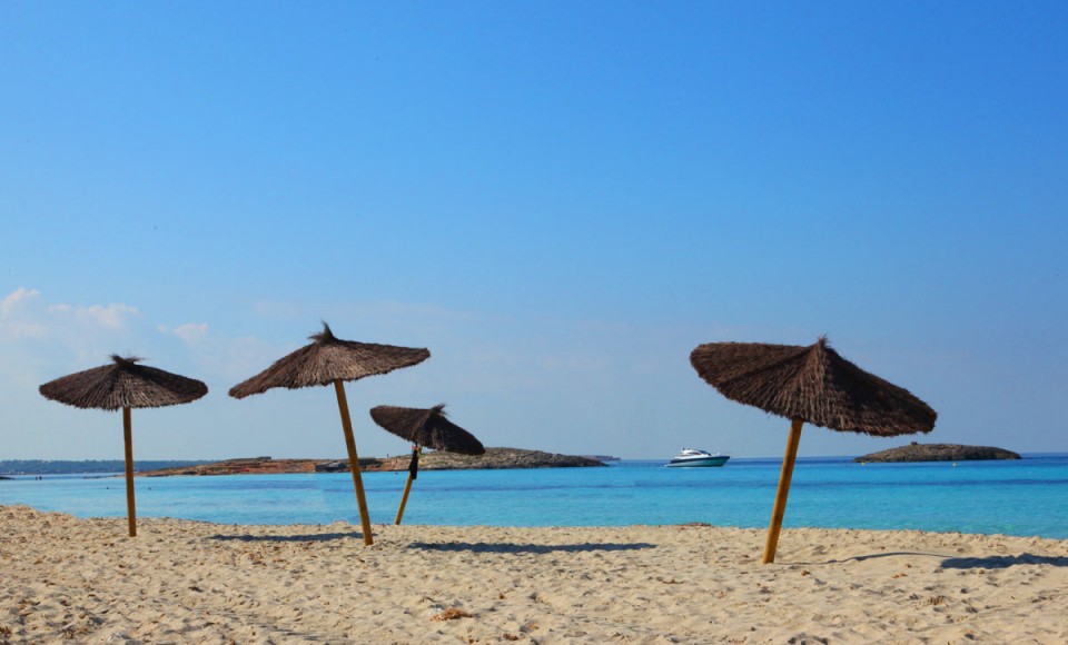 beach with parasols