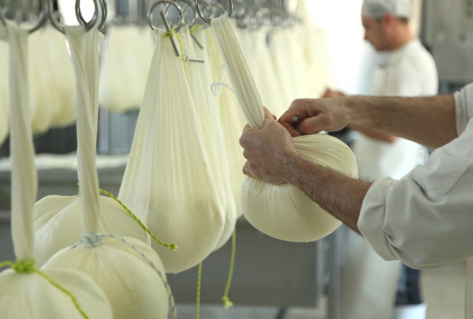 cheese making