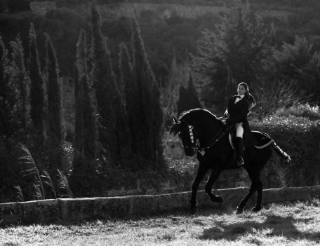 cantering horse with rider - Fiesta Horses