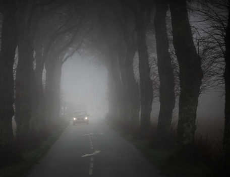 Tunnel of trees - Atmospheric Places