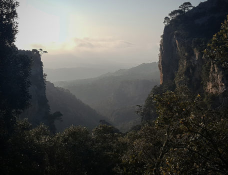 misty landscape of Mallorca - Mallorca Landscapes