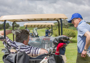 golfing buggy