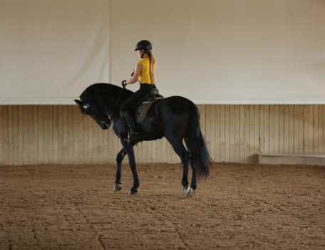 horse rider and horse in arena - Son Martorellet