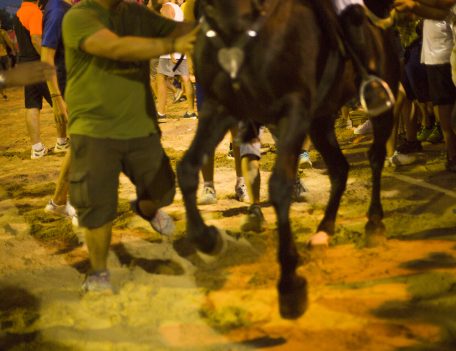 fiesta horse prancing - Llucmacanes Fiesta