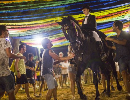 fiesta horse in crowd - Llucmacanes Fiesta