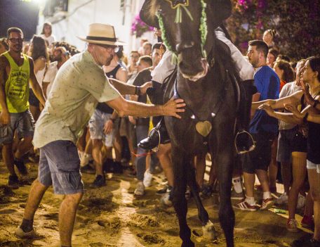 fiesta horse - Llucmacanes Fiesta